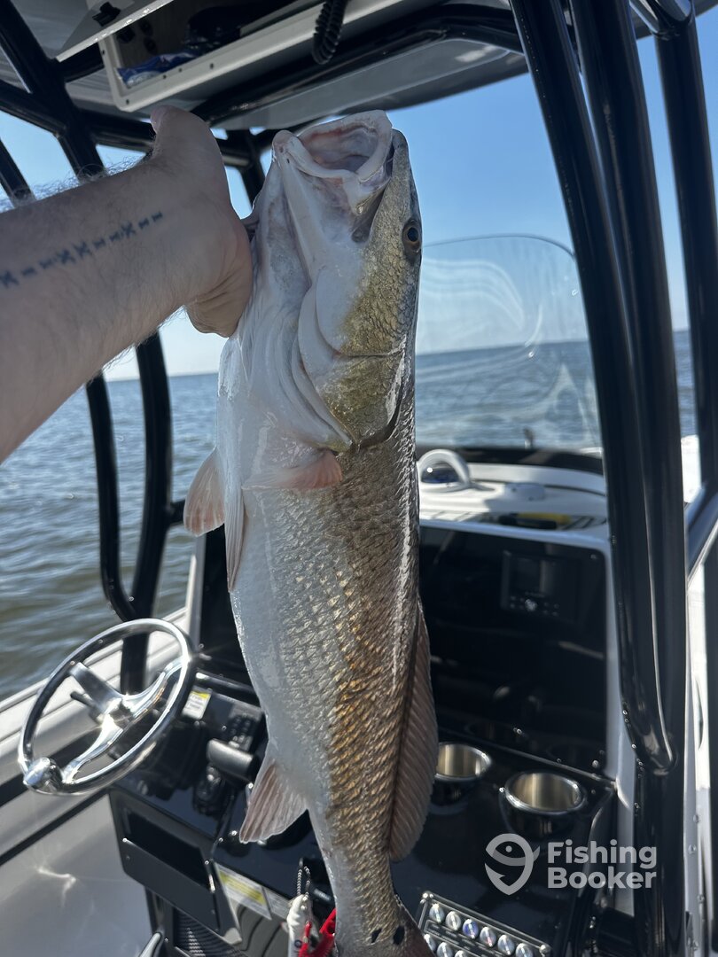 Biloxi Report Photo 0