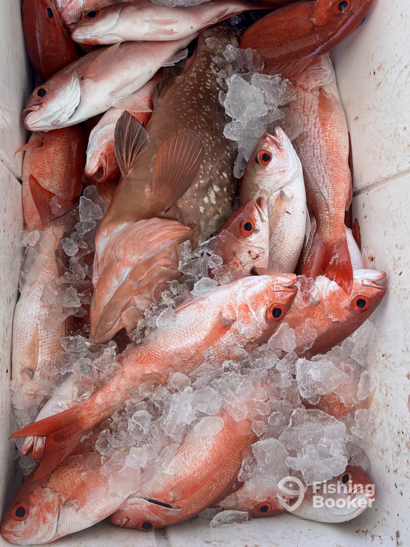 Panama City Beach Report Photo 0