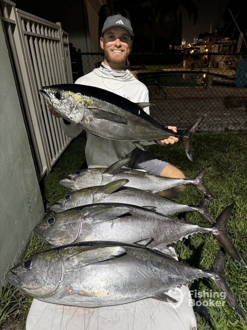 Dania Beach Report Photo 0