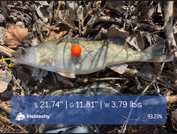 FishProCo Walleye Retreat