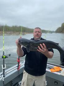 BLUE CATFISH