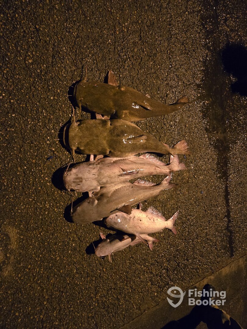 Moncks Corner Report Photo 0