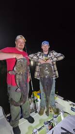 Epic Flathead Night Bite