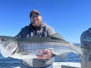 Dennis Report Photo 1