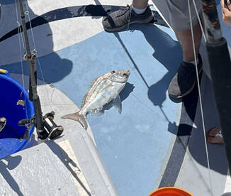 Deep Sea fishing on the Riptide, Orange 