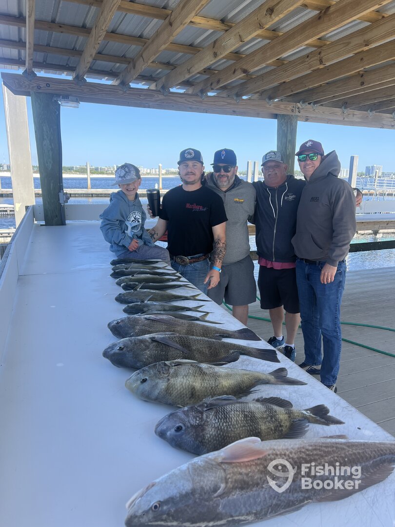 Orange Beach Report Photo 0