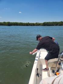 DeBary Report Photo 2