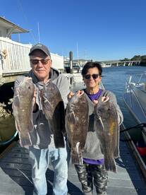 Inshore tog bite