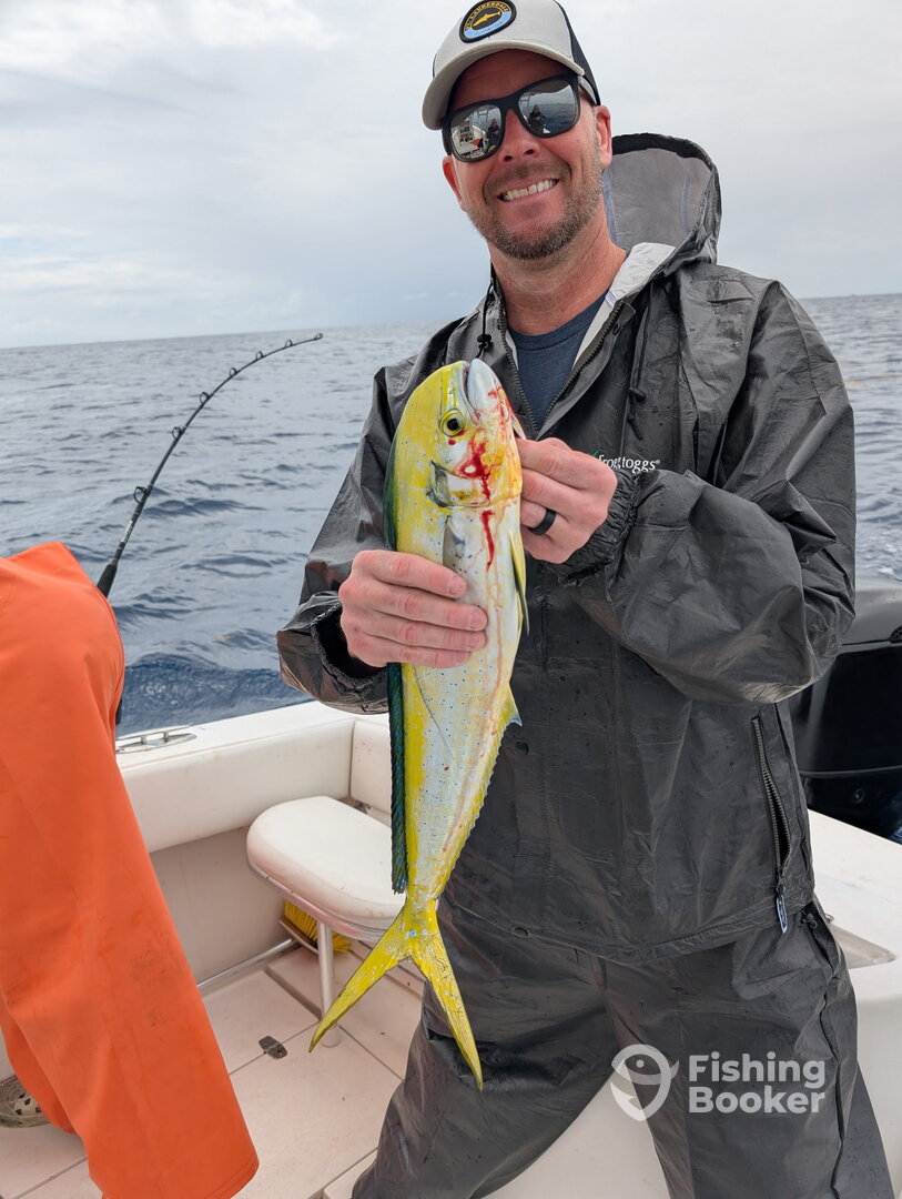 Fort Lauderdale Report Photo 0