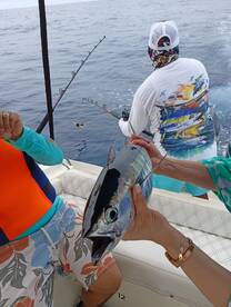 Cartagena Report Photo 2