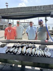 Lake Charles Report Photo 2