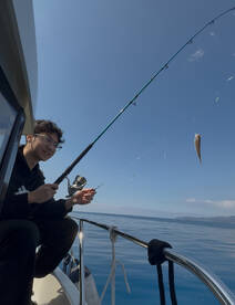 Budva Report Photo 2
