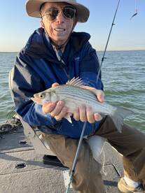 Lake Dallas Report Photo 1