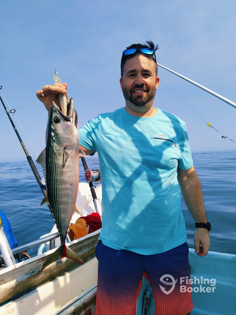 Puerto Vallarta Report Photo 0