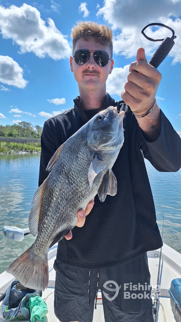 Hilton Head Island Report Photo 0