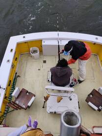 Wanchese Report Photo 1