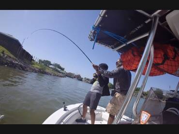 San Leon Report Photo 1