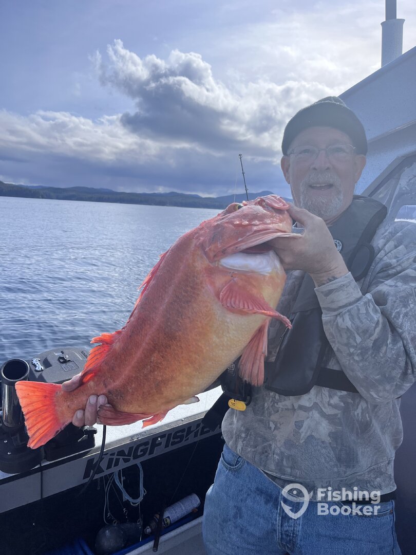 Coal Harbour Report Photo 0