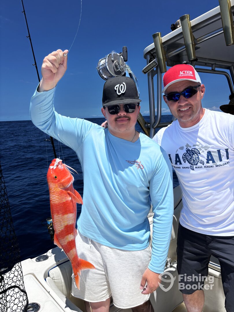 Kailua-Kona Report Photo 0