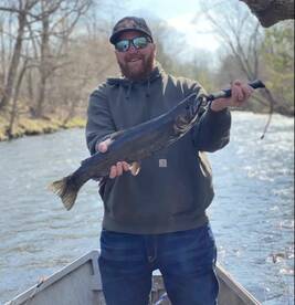 Springtime is here and even the fish are