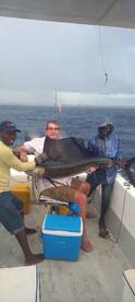 Sail fish and Black marlin