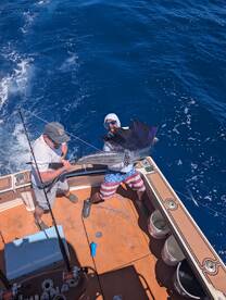 Sailfish are in