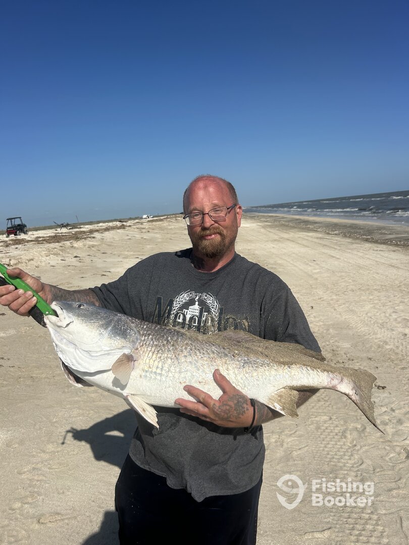 Creole Report Photo 0