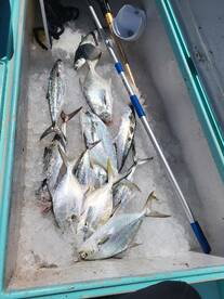 Destin Report Photo 1