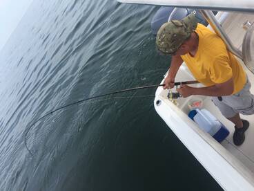 Virginia Beach Report Photo 2