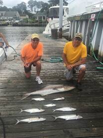 Virginia Beach Report Photo 1