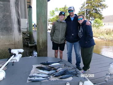 Everything is biting.