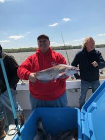 BLUE CATFISH are biting VERY GOOD!! No s