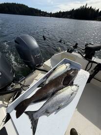 Ucluelet Report Photo 2