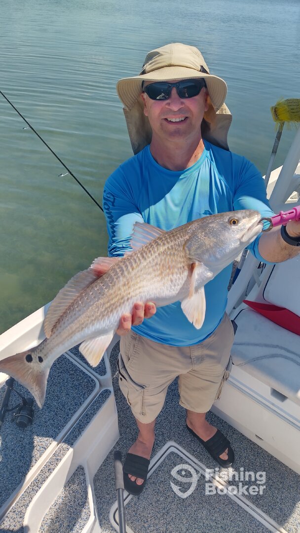Belleair Bluffs Report Photo 0