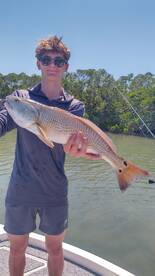 Belleair Bluffs Report Photo 2