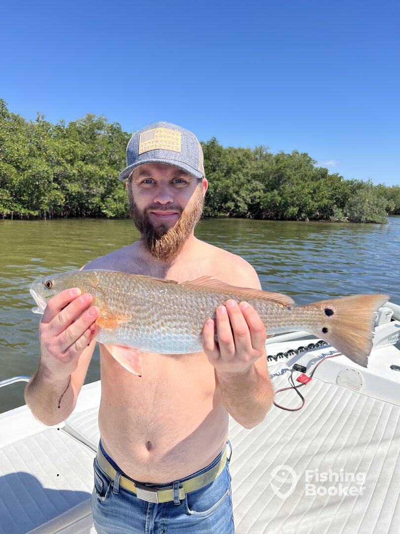 Tarpon Springs Report Photo 0