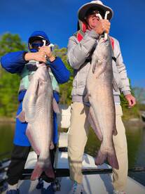 Doubled up