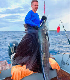 The Battle of a Lifetime: Man vs. Marlin
