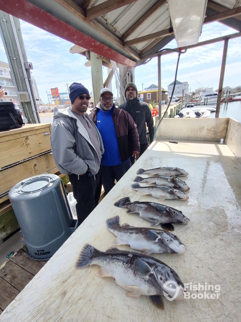 Ocean City Report Photo 0