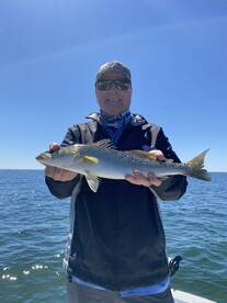 The spanish are back!