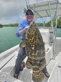 Goliath grouper!! 