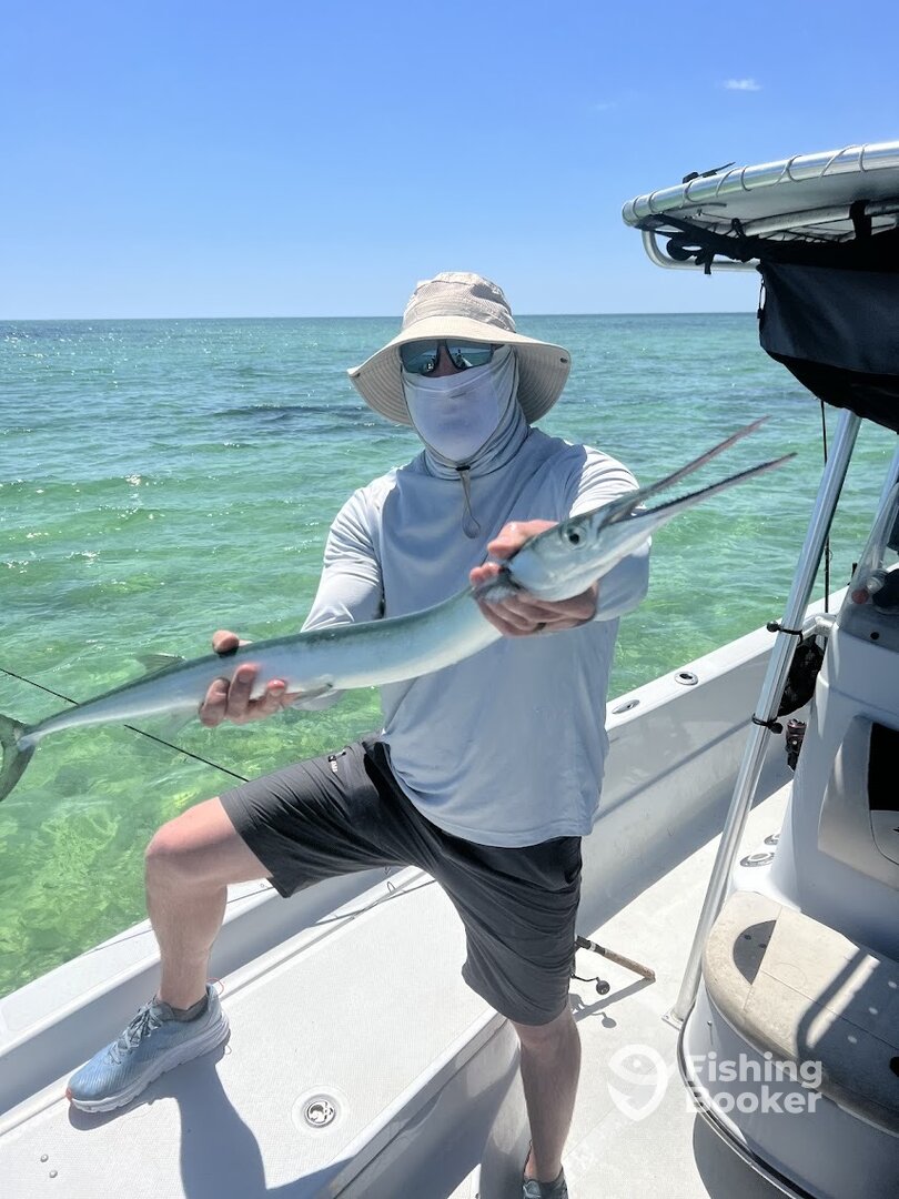 Apalachicola Report Photo 0