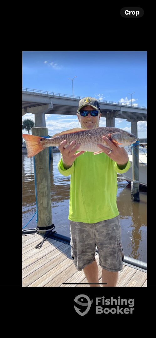 Port Orange Report Photo 0
