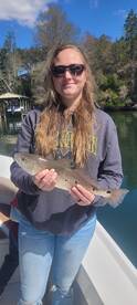 Niceville Report Photo 1