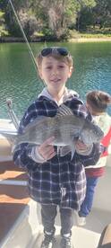 Niceville Report Photo 2