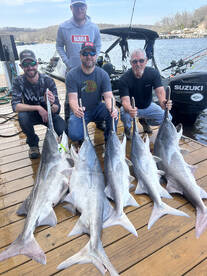 Lake of the Ozarks Report Photo 2