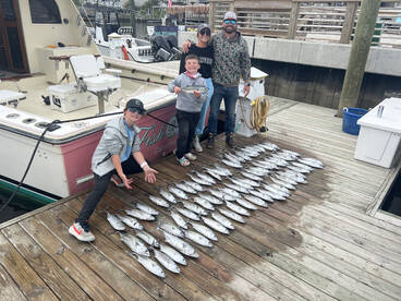 Carolina Beach Report Photo 1