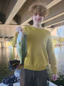 Branson Report Photo 1