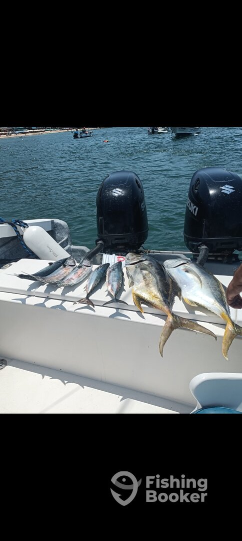 Puerto Vallarta Report Photo 0