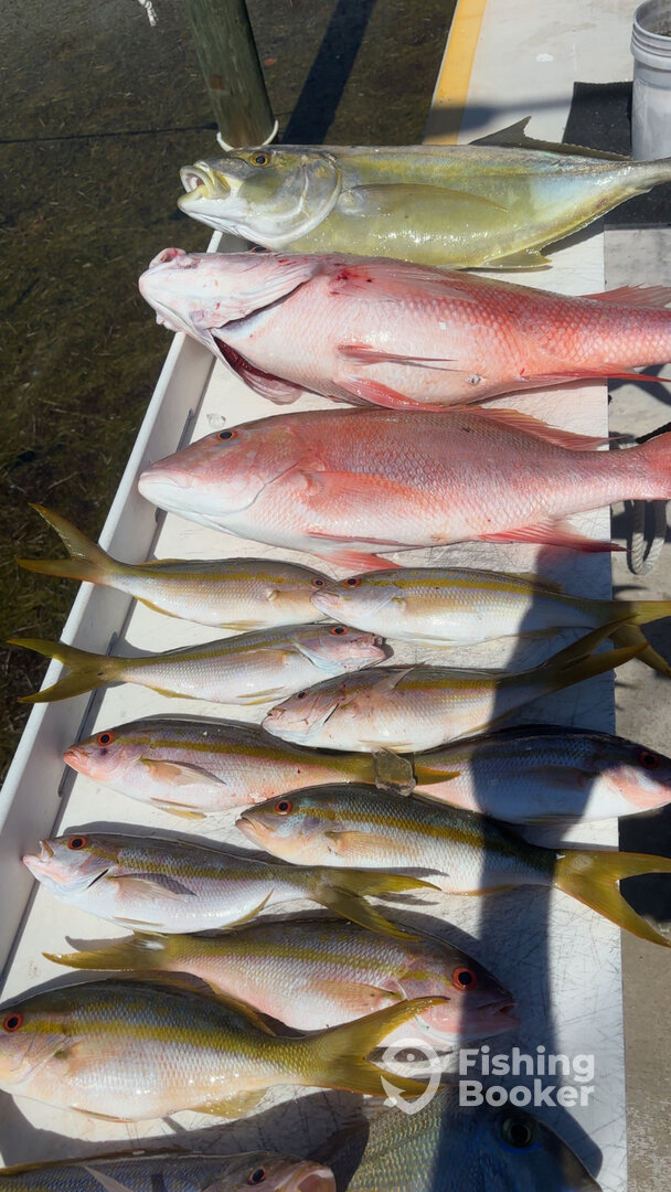 Big Pine Key Report Photo 0